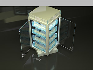 Jewelry Displays